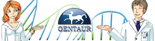 GENTAUR